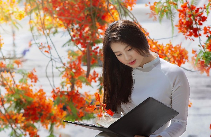 Lưu bút dưới gốc phượng vĩ